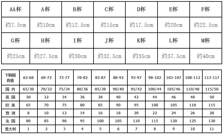 2025 New Styles Plus Size Full Figure Underwire Lace Embroidery Frontless Backless Net Lace Bra Panty for Female