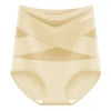 European American High-Waisted Plus-Size Women's Underwear Cross-Border Exclusive Firm Tummy Control Briefs in Silk