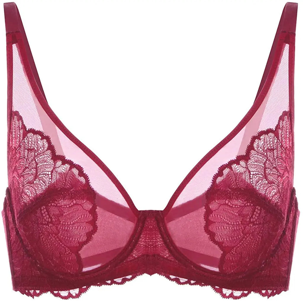 2025 New Styles Plus Size Full Figure Underwire Lace Embroidery Frontless Backless Net Lace Bra Panty for Female